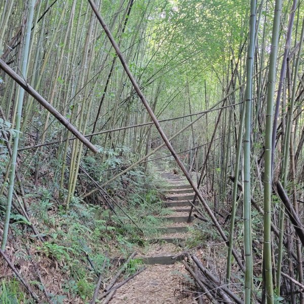 象鼻古道、千兩山步道2219260