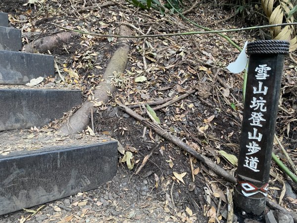 《雪山坑登山步道｜巨人之手森林秘境 Xueshankeng Hiking Trail & Giant2971064