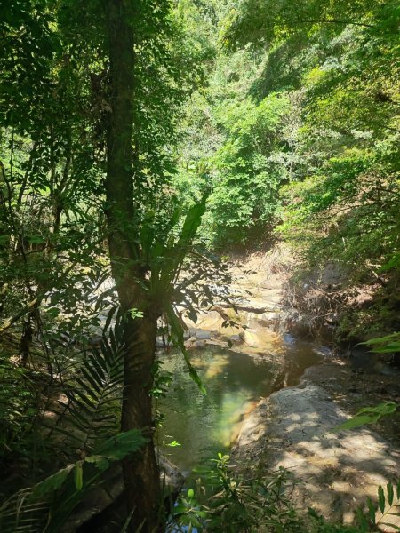 獅山古道3117403