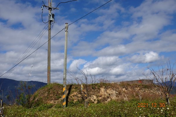 南投 仁愛 巴蘭山、關頭山、高峰山1567702