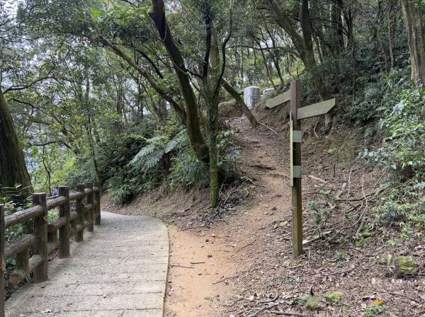 [微笑山線_第四段] 2026_0321 天上山系_石門內尖山東峰3021322