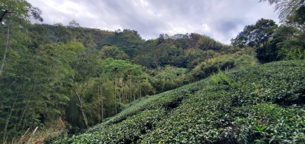 2025-01-19孝子路步道、大巃頂2694251