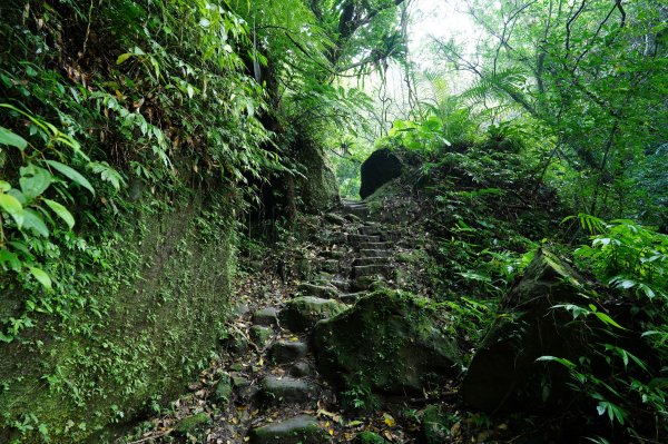 新北 石碇 西帽子岩、炙子頭山、溪邊寮山2551945