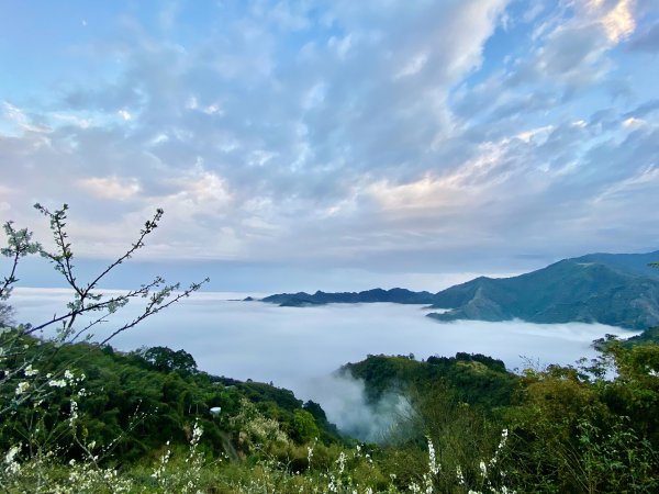 洗水山北峰.細道邦山(南峰)輕鬆撿--雲海花海看飽看滿   2022/2/101606995