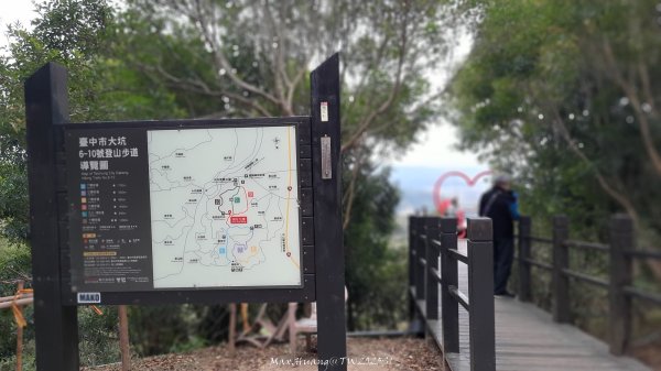 《台中》樹中有樹｜大坑步道6上7下O繞202502082708620