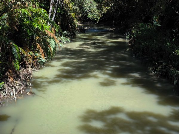 2024-08-22 澀水森林步道2578407