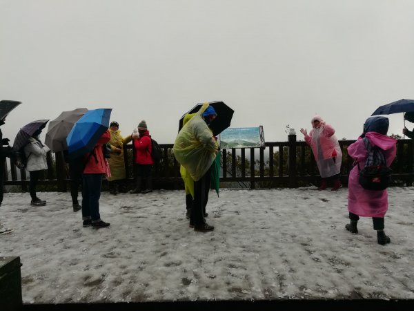 20210108冰封大屯山1232006