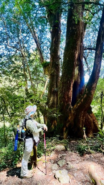 🌈8/16（六）遠的要命的王國~鎮西堡B區神木巡禮✨FB：熊熊趴爬走🌈2861635