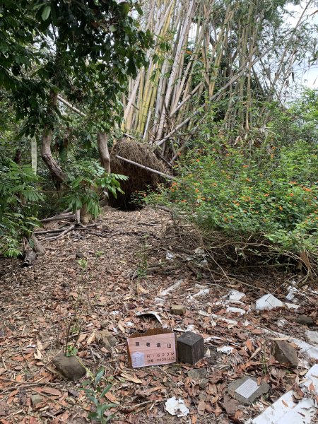 20250403高雄頂荖濃山2757169