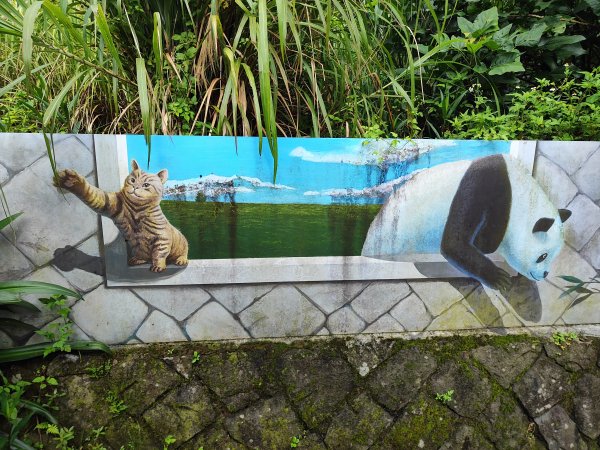 臺北大縱走第七段：世界山莊至飛龍步道政大後山2811687