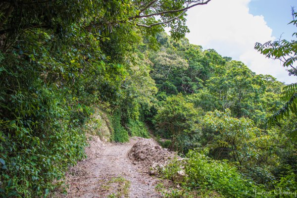 [高雄]網子山、鳴海下山、鳴海山2585498