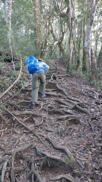 2020.03.08塔曼山874921