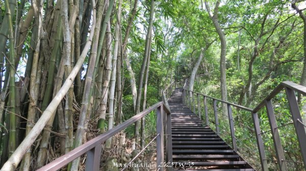 《南投》峰峰相連｜草屯九九峰森林步道O型202509062879280