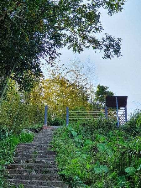 【雲嘉】連峰茶道之美1717458