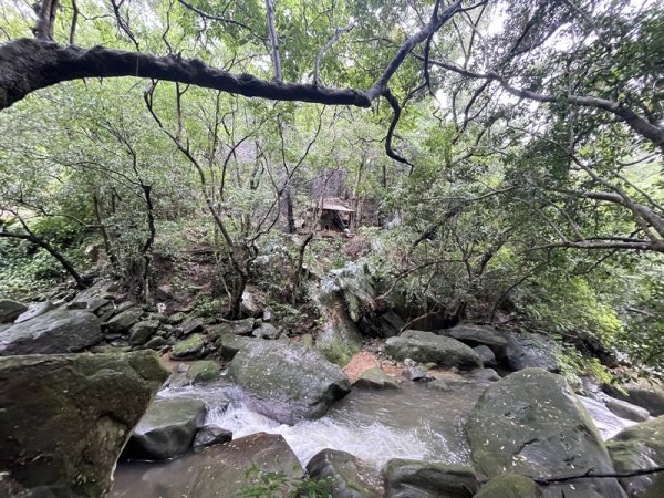 台北大縱走第四段2798732