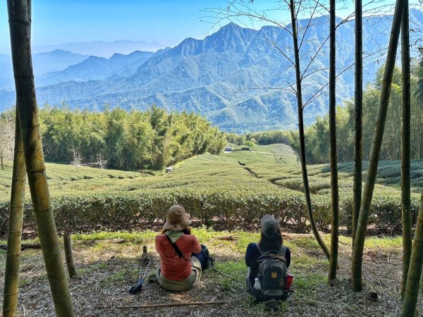 溪頭六連峰O繞2741734