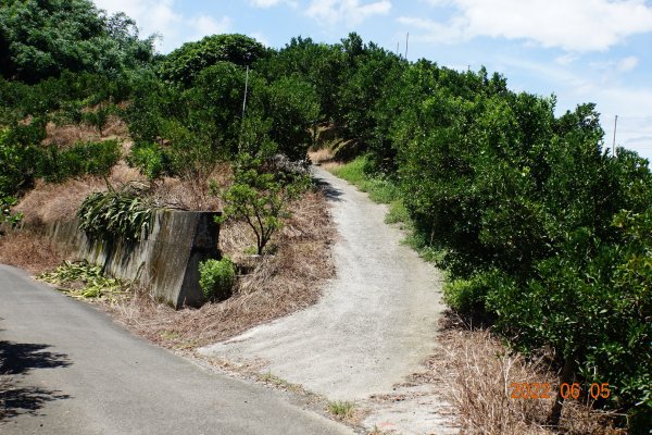嘉義 竹崎 山子坑山1731775