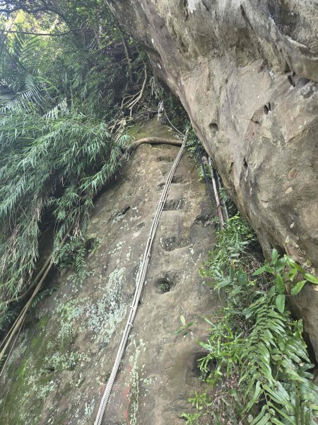 20260706大暖尖山-猴洞小o3084675