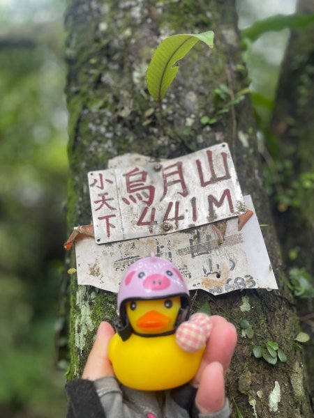 烏月山群峰--向天湖古道2515282