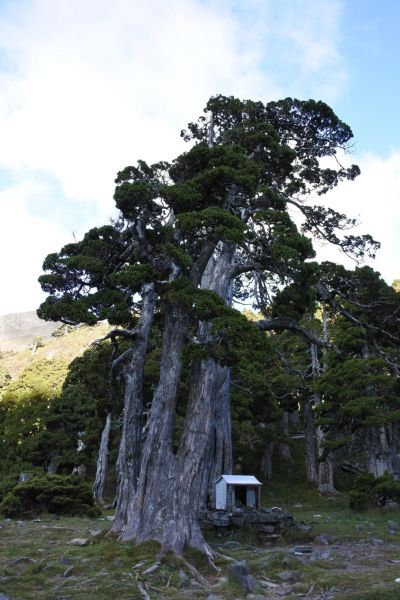 雪山主峰，東峰下翠池412599