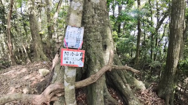 20250421_阿白縱走2774481