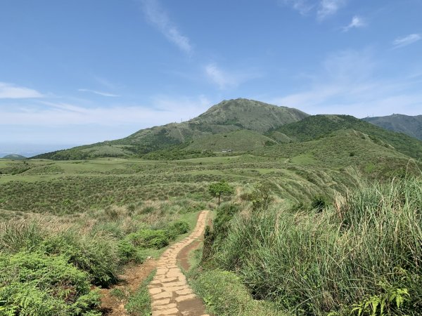 磺嘴山生態保護區（磺嘴山-鹿堀坪）2140513