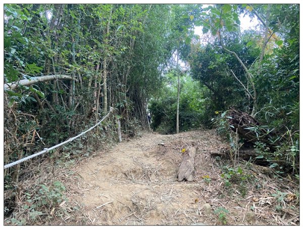 旗靈縱走(旗尾山、福美山、金字面山、人頭山、靈山)2996444