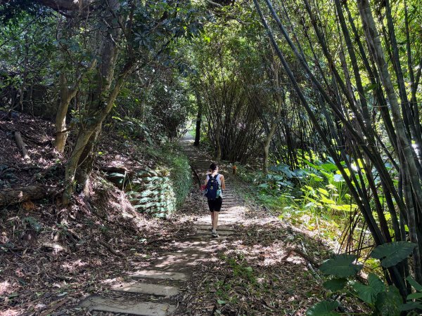 犁頭山、文山步道2835635