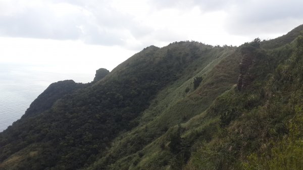 福卯古道, 三貂角燈塔, 雪山尾稜834855