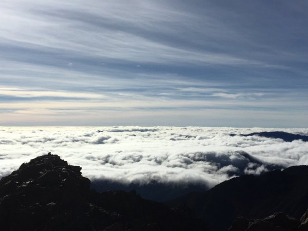 玉山西峰、主峰行452261