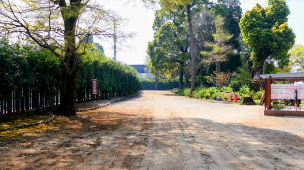 熊本水前寺成趣園,熊本城3028451