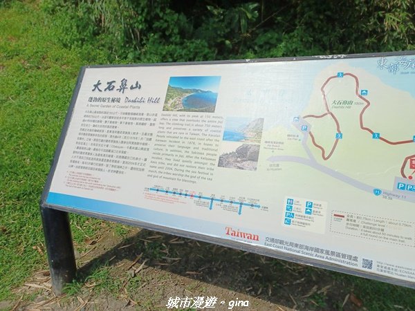 【花蓮豐濱】藍天碧海。大石鼻山步道2251440