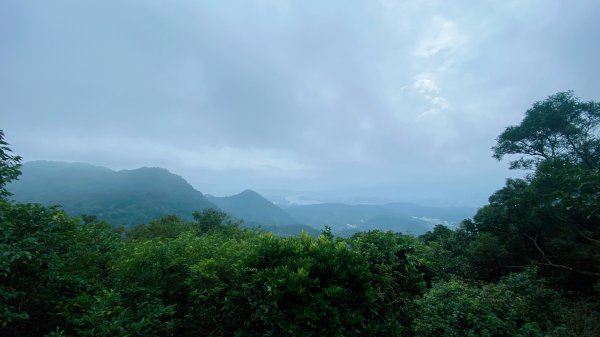 20240616觀音觀鷹尋寶任務福隆山登山步道、林梢步道、牛港稜山登山步道2535546