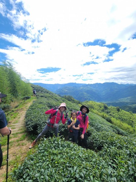 【雲嘉抺茶山】1735901