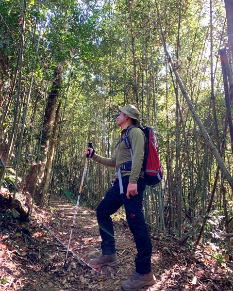 【小百岳】馬那邦山：竹林、楓葉、古戰場1198567