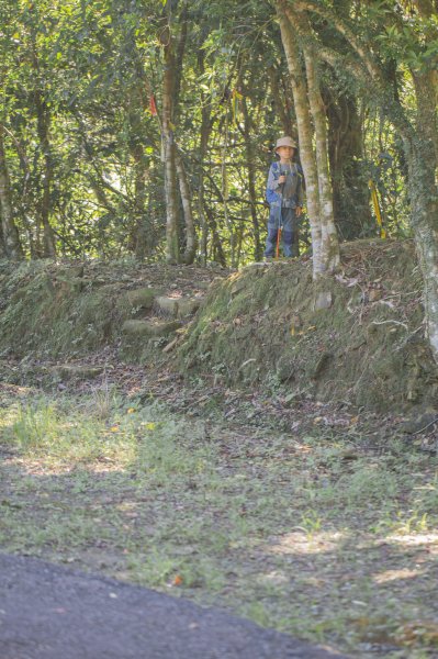 闊瀨古道-沿北勢溪谷而行的夏末之旅（淡蘭古道）2287598