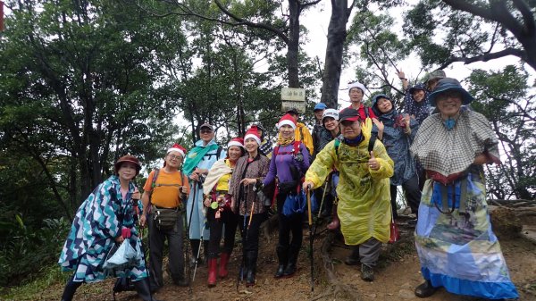 2018-12-23 南寮→康樂街步道→真武山步道→蒼松嶺→油桐嶺→大尖坪山→翠湖→老鷲尖→老鷲尖南峰→青蛙石→學頭坡山