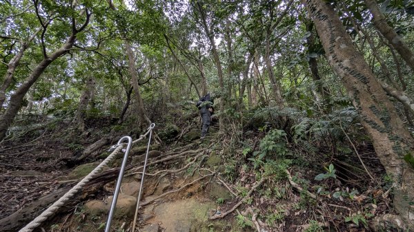 114.12.14黃帝殿西峰-天王峰-黃帝殿東峰之旅2962022