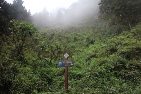 作伙來去北大武304504