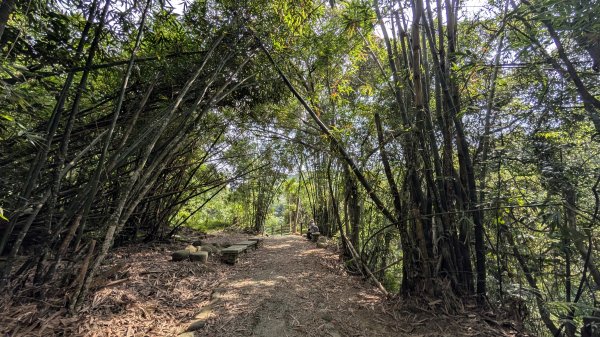 115.05.30高遶溪古圳步道-羅馬公路之旅3067183