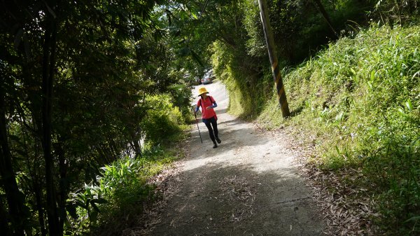 鵝公髻山登山健行趣(小百岳31號)1524800