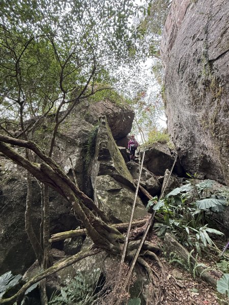 大坪祕境的奇岩2672546