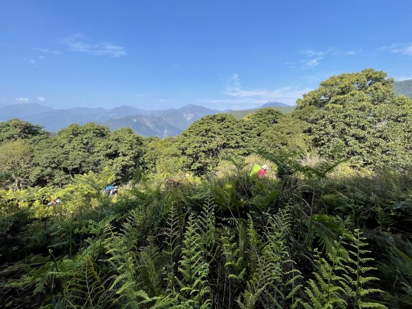 鍛鍊海鼠O型縱走 (上)1314497