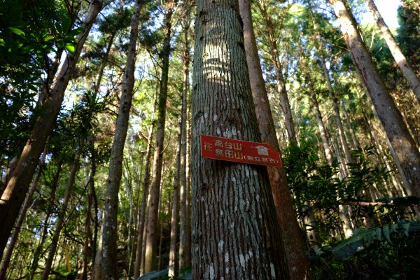 新竹尖石鄉 高島縦走1280661