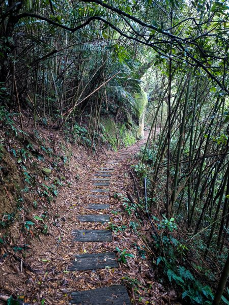 2025-03-08 汶水三山：金童山、汶水山、玉女山 連走2736495
