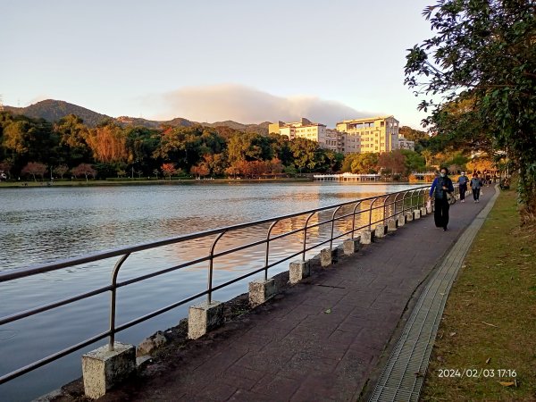 內湖瑞陽公園、碧湖公園、大港墘公園2416878