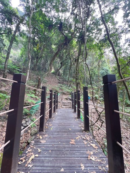 雪山坑環線步道3023324
