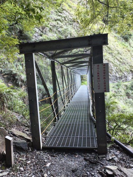 [玉山尋寶任務-07/12] 2025_0824 八通關雲龍瀑布步道2870524