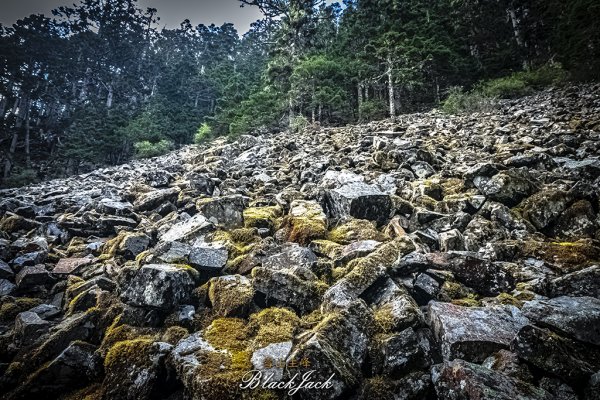 雪山主峰一日單攻963326