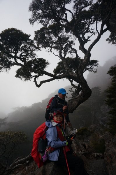 難忘的武陵四秀之品田山.池有山.桃山854394